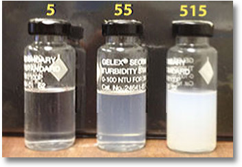 Water samples ranging from clear to visibly cloudy